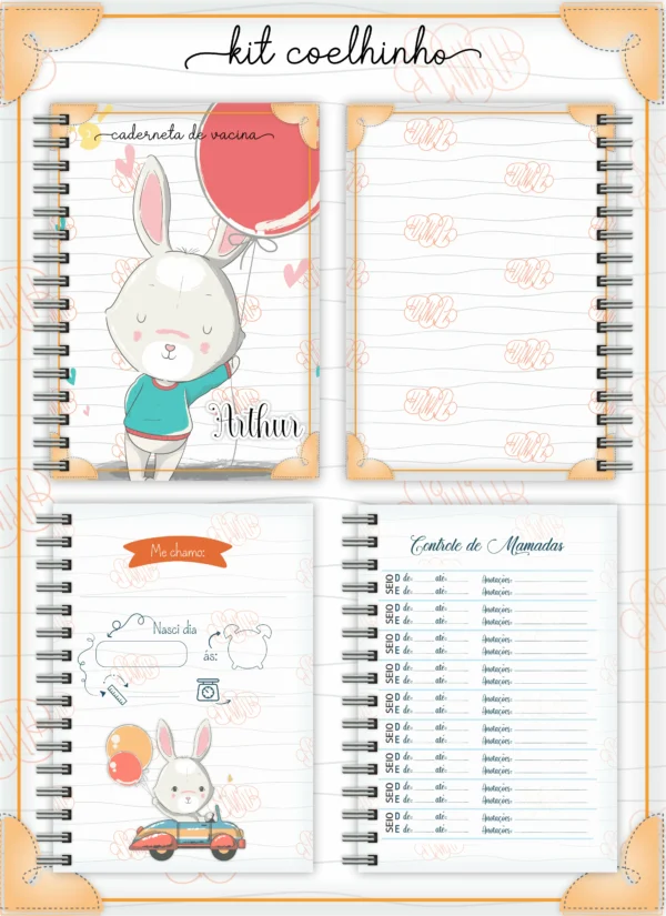 Arquivo Digital KIT Caderneta de vacina COELHINHO 01 - Imagem 2