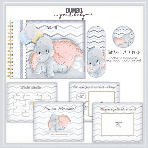 Arquivo Digital KIT Caderneta de vacina DUMBO 01 - Imagem 5