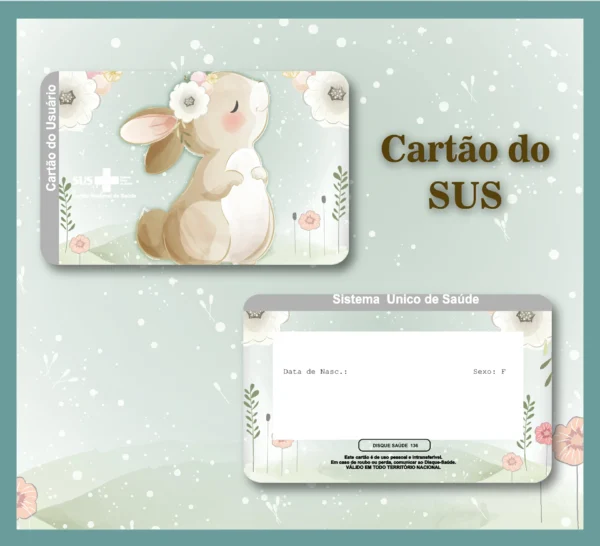 Arquivo Digital KIT Caderneta de vacina COELHINHA 01 - Imagem 2