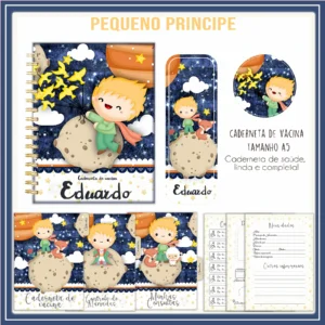 Arquivo Digital KIT Caderneta de vacina PEQUENO PRINCIPE 2