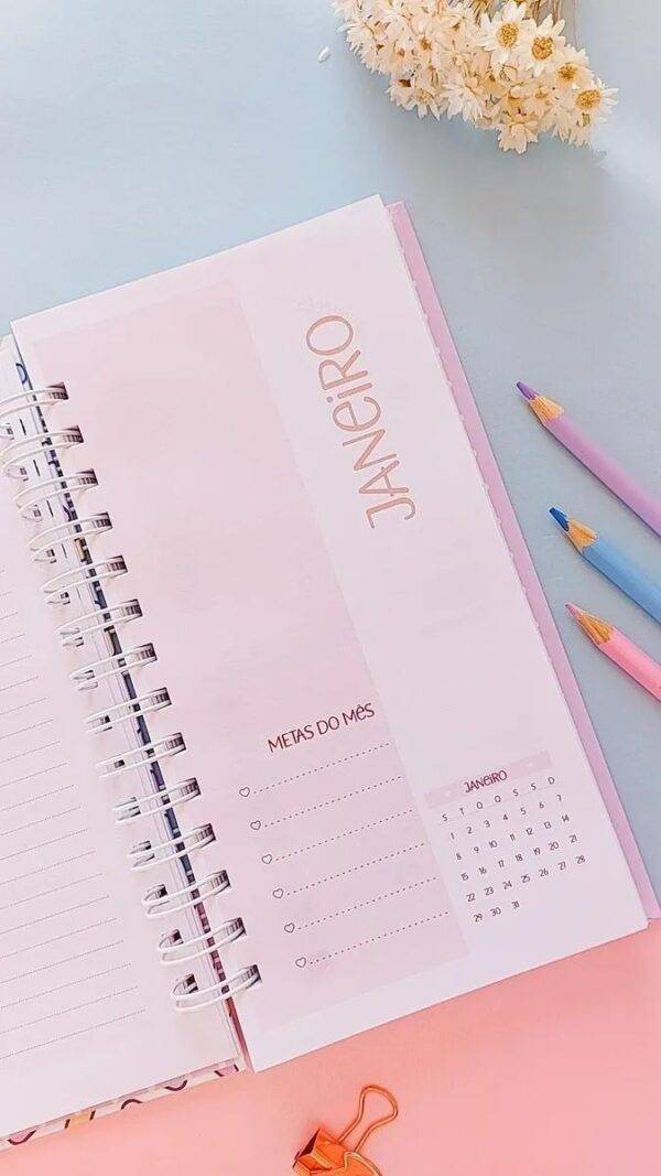 Arquivo Digital Agendas e Planners Colors 02 – 2024 - Imagem 3