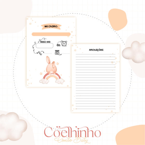 ARQUIVO DIGITAL CADENETA DE VACINA COELHINHO ARCO ÍRIS 01 - Imagem 2