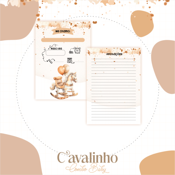 ARQUIVO DIGITAL CADENETA DE VACINA CAVALINHO DE BALANÇO 02 - Imagem 2