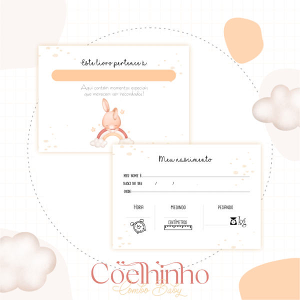 ARQUIVO DIGITAL CADENETA DE VACINA COELHINHO ARCO ÍRIS 01 - Imagem 6