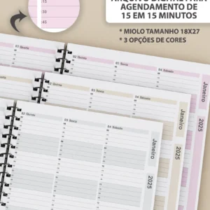 Arquivo Digital AGENDAMENTOS 15 EM 15 MINUTOS  - 2025