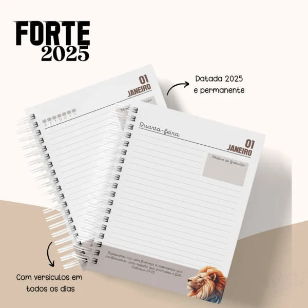 Arquivo Digital AGENDA CRISTÃ MASCULINA 01 - 2025 - Imagem 4