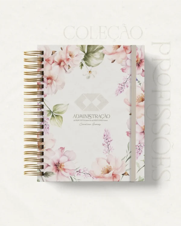 Arquivo Digital CADERNO ADMINISTRAÇÃO 1 - Imagem 3