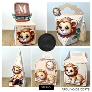 Arquivo Digital KIT FESTA LEAOZINHO - 01