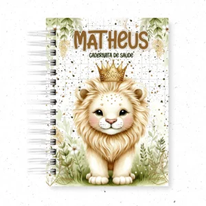 Arquivo Digital CADERNETA DE VACINA LEÃOZINHO MATERNIDADE 01