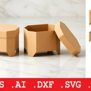 Arquivo Digital CAIXAS BANDEJA HEXAGONAL COM TAMPA 01