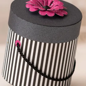 Arquivo Digital CAIXAS CHAPECO DE PETISCOS 01