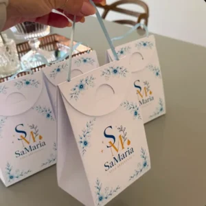 Arquivo Digital SACOLA SACOLINHA BOUTIQUE 01